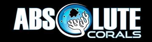 ABSOULTE CORALS your one stop reef needs